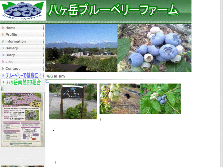 www.yatu-blueberry.com