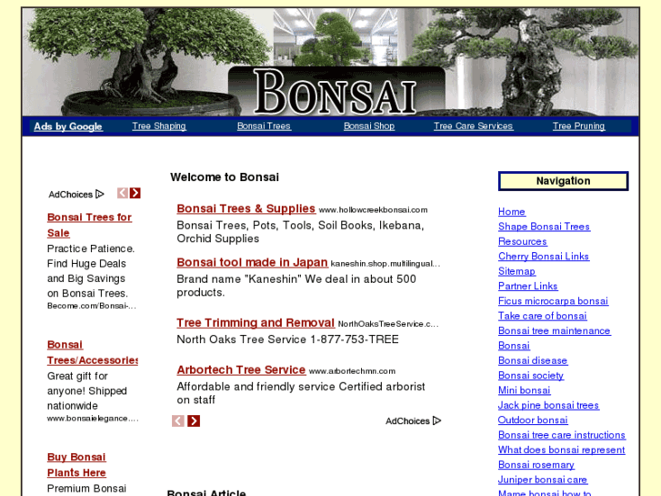 www.bonsaitreesupport.com