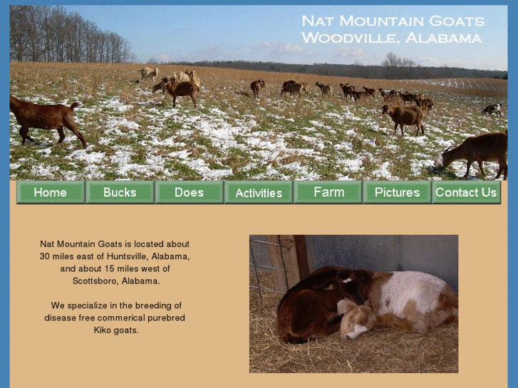 www.natmountaingoats.com