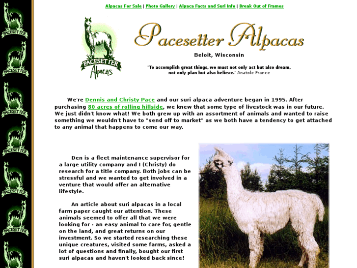 www.pacesetteralpacas.com