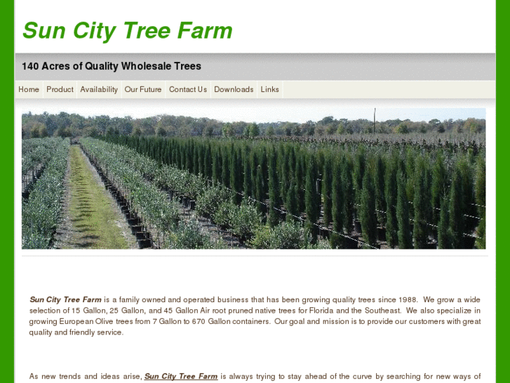 www.suncitytrees.com