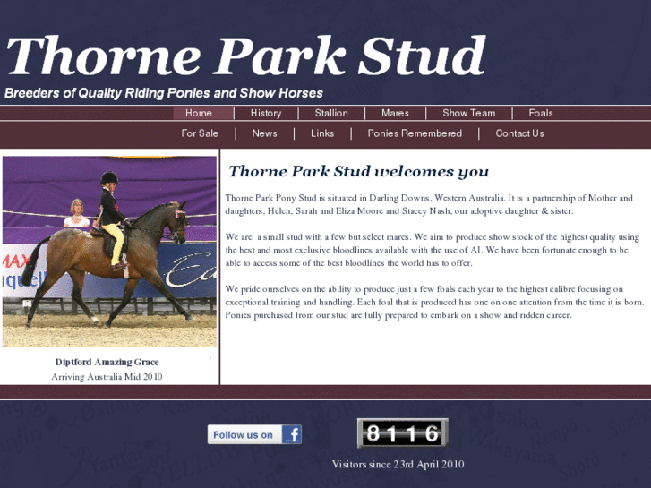 www.thorneparkstud.com