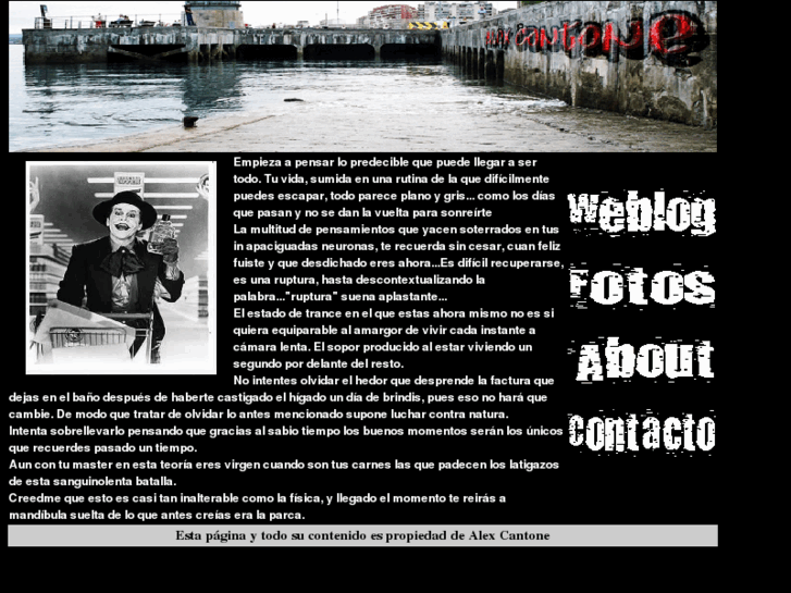 www.alexcantone.es