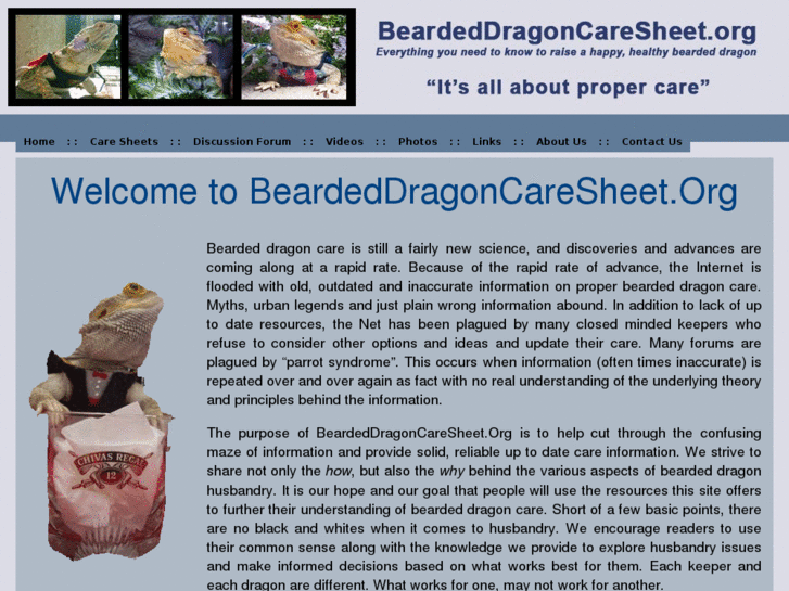 www.beardeddragoncaresheet.org