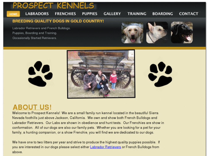 www.prospectkennels.com