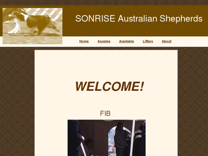 www.sonriseaussies.com