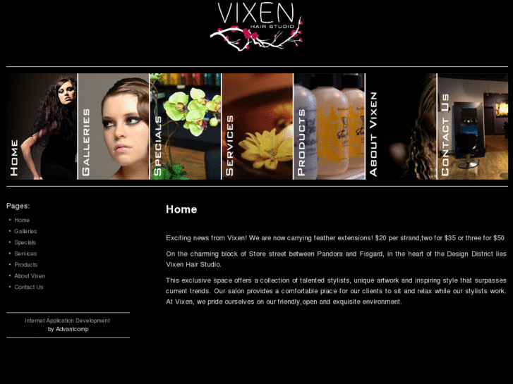 www.vixenhairstudio.com