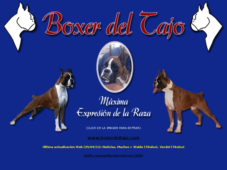 www.boxerdeltajo.com