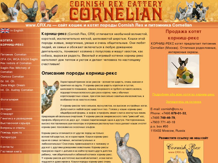 www.cornish-rex.biz