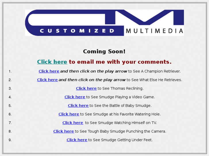 www.customizedmultimedia.com