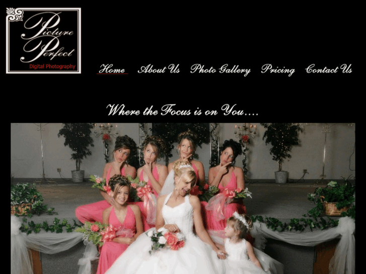 www.pictureperfect-digital.com