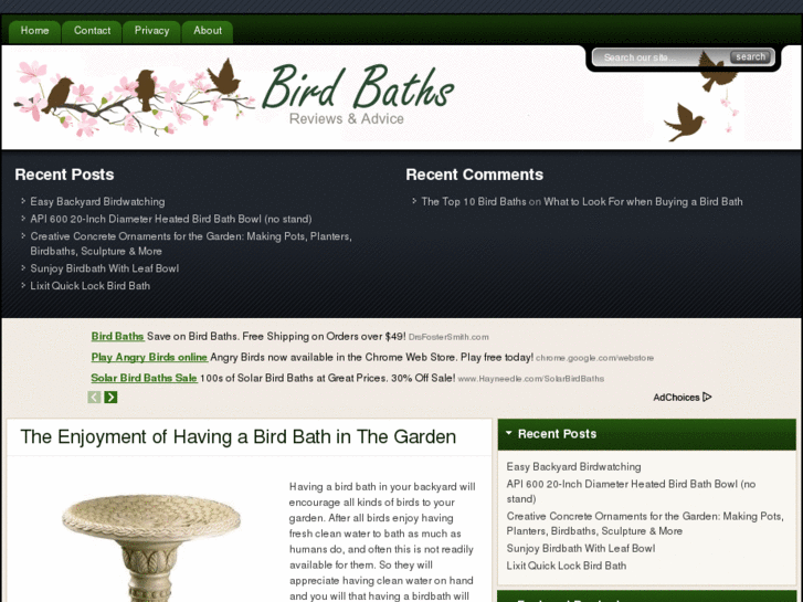 www.top-10-bird-baths.com