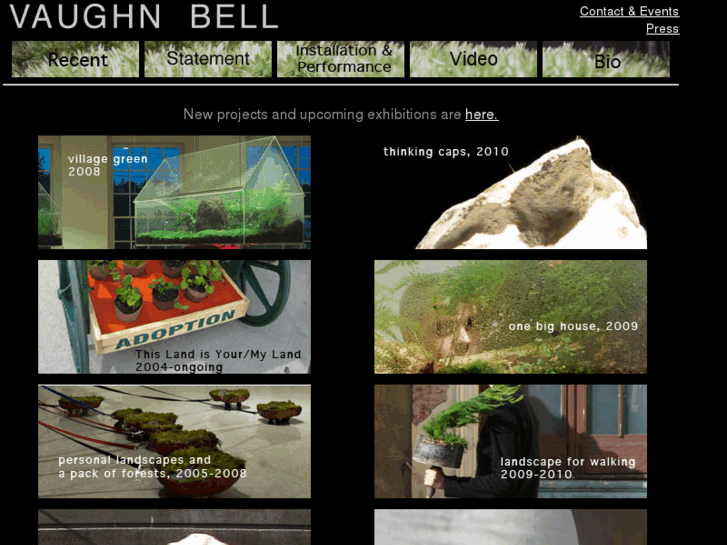 www.vaughnbell.net