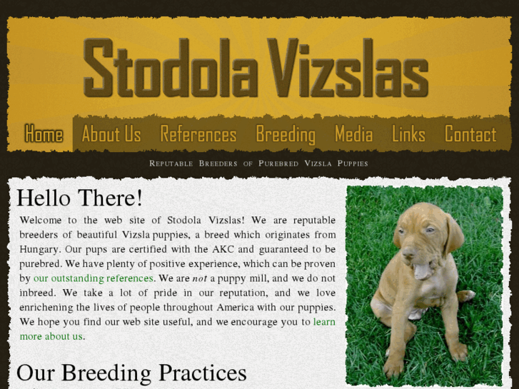 www.vizslapup.com