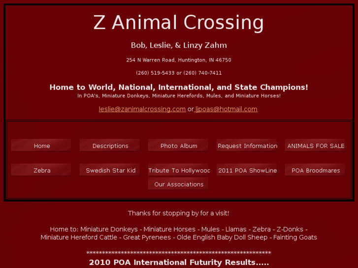 www.zanimalcrossing.com