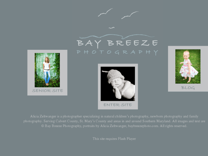 www.baybreezephoto.com