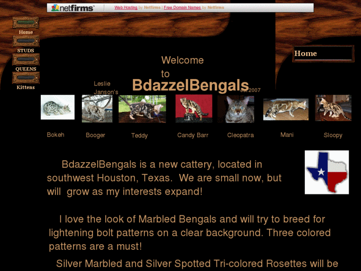 www.bdazzelbengals.com