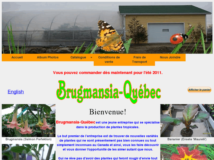 www.brugmansia-quebec.com