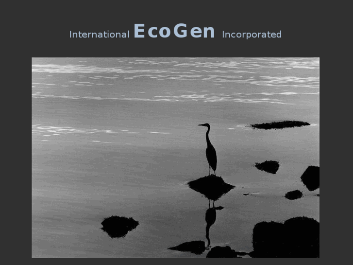 www.intl-ecogen.com