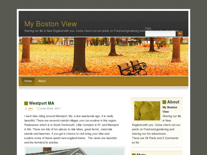 www.mybostonview.com