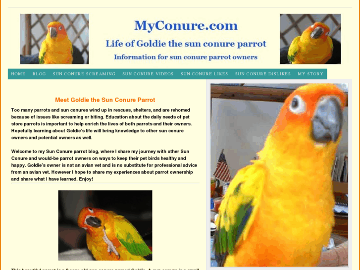 www.myconure.com