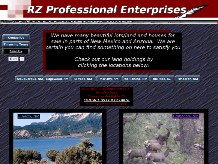 www.rzprofessional.com