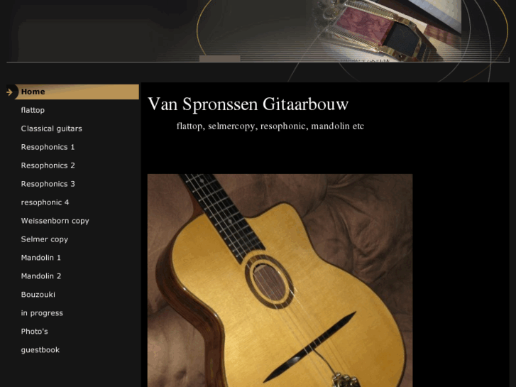 www.vanspronssenguitars.com