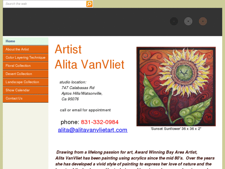 www.alitavanvlietart.com