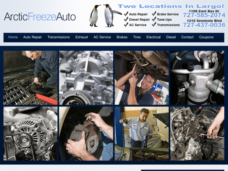 www.arcticfreezeauto.com