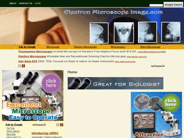 www.electronmicroscopeimage.com
