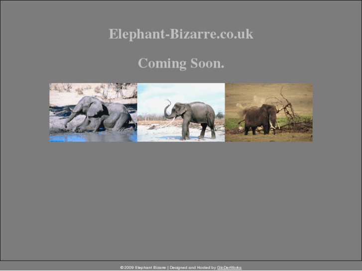 www.elephantbazaar.com