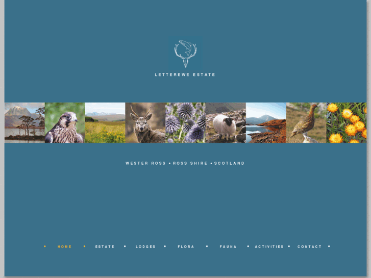 www.letterewe-estate.com