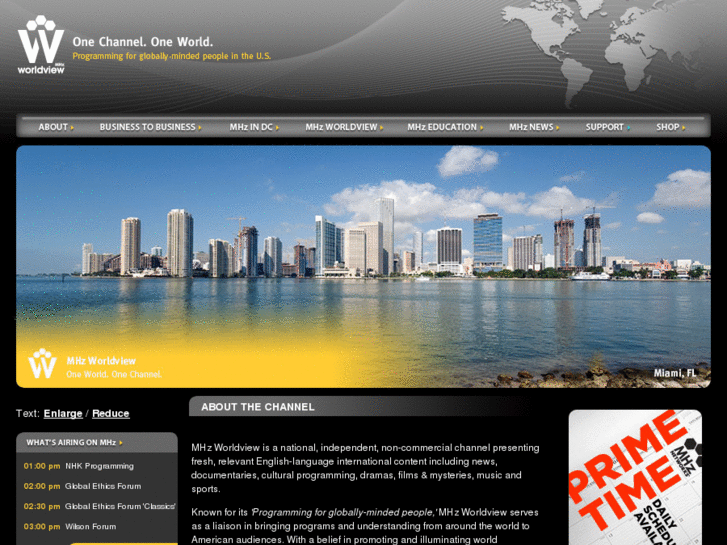 www.mhzworldview.org