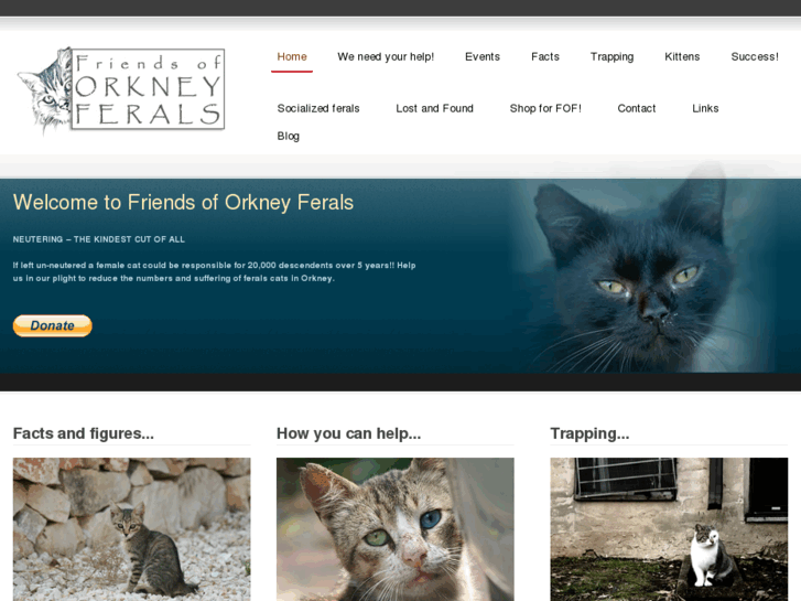 www.orkneyferals.co.uk