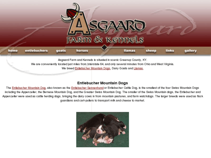 www.asgaardfarmandkennels.com