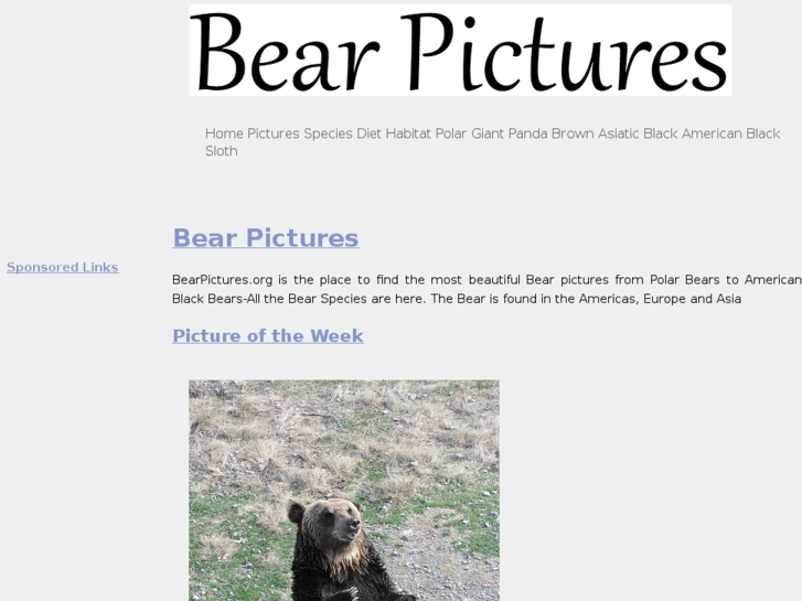 www.bearpictures.org