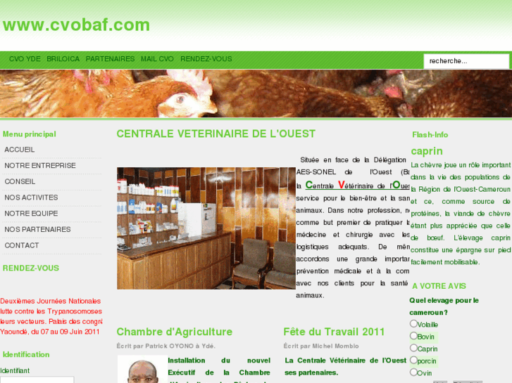 www.cvobaf.com