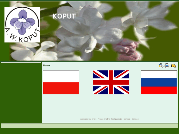 www.koput.com