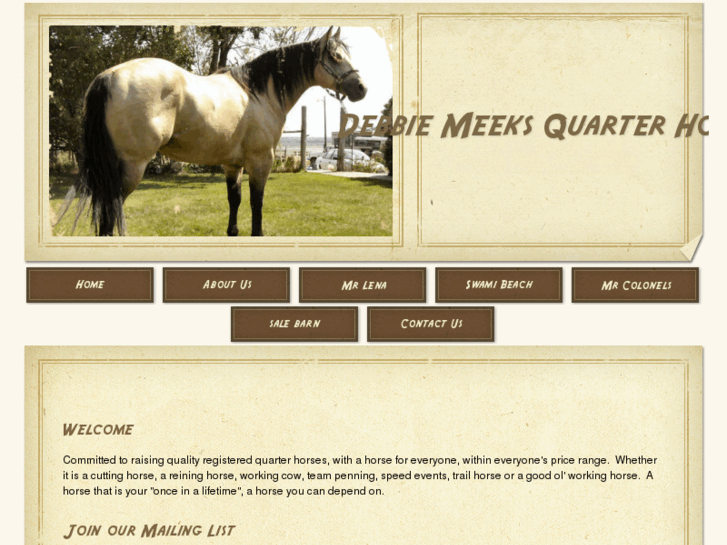 www.meeksquarterhorses.com