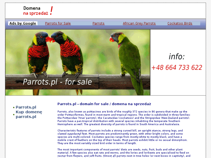 www.parrots.pl