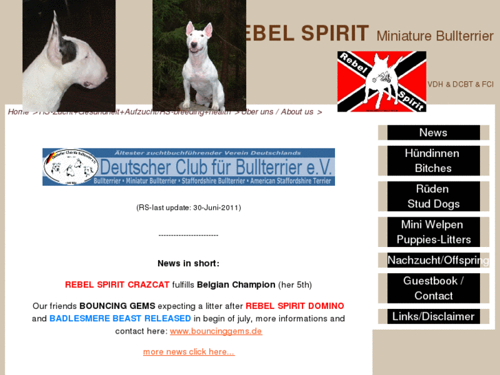 www.rebel-spirit.de