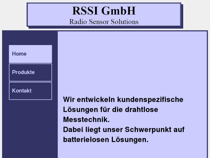 www.rssi-gmbh.com