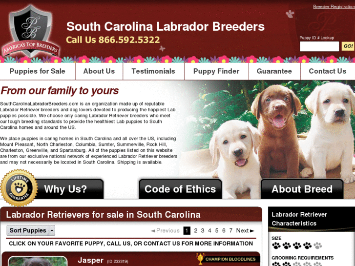 www.southcarolinalabradorbreeders.com