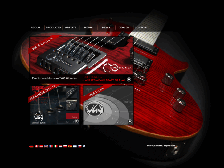 www.vgs-guitars.com