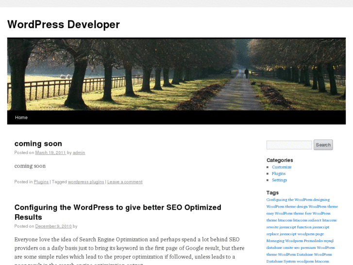 www.wordpressdeveloper.com