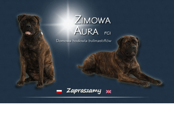 www.zimowa-aura.pl