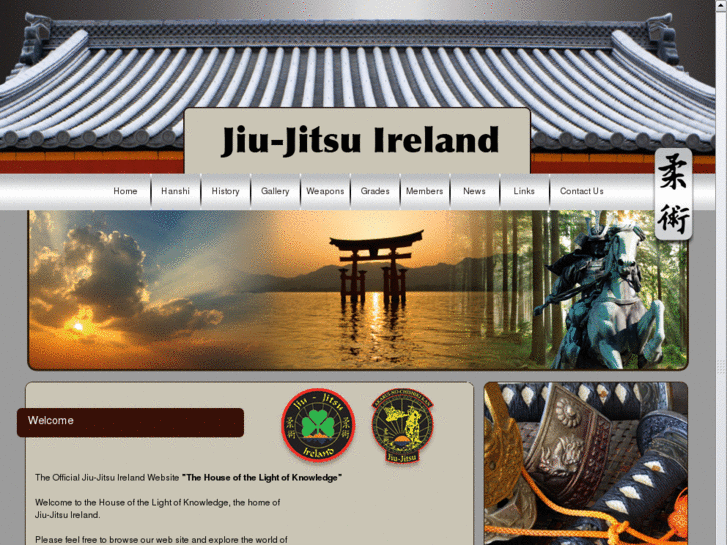 www.jiu-jitsu-ireland.com