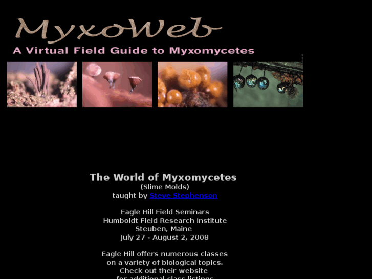 www.myxoweb.com