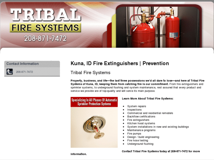 www.tribalfiresystemsidaho.com