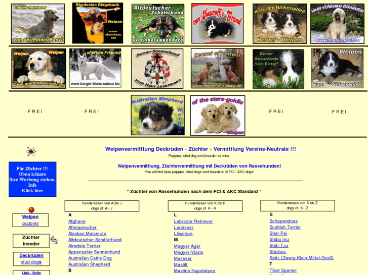 www.dogs-welpen.de